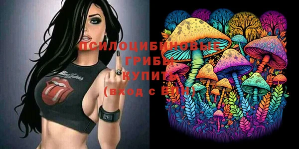 мет Новосибирск