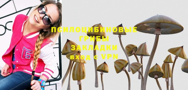 а пвп мука Ижевск
