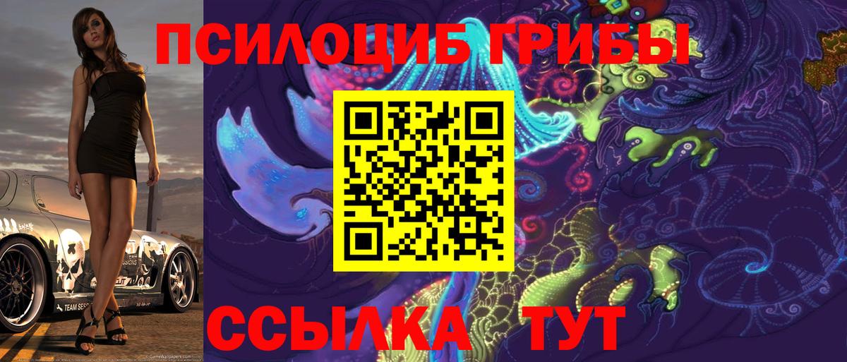 Галлюциногенные грибы GOLDEN TEACHER Апшеронск