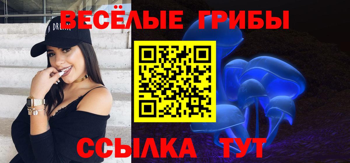 Галлюциногенные грибы прущие грибы  Галлюциногенные грибы Psilocybe  Апшеронск 