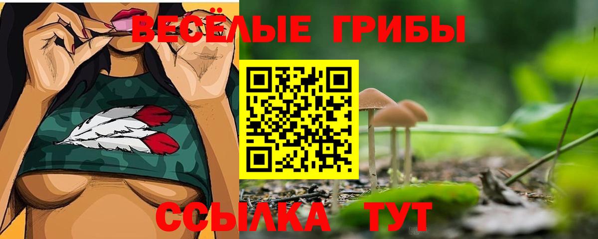 Псилоцибиновые грибы MAGIC MUSHROOMS Апшеронск