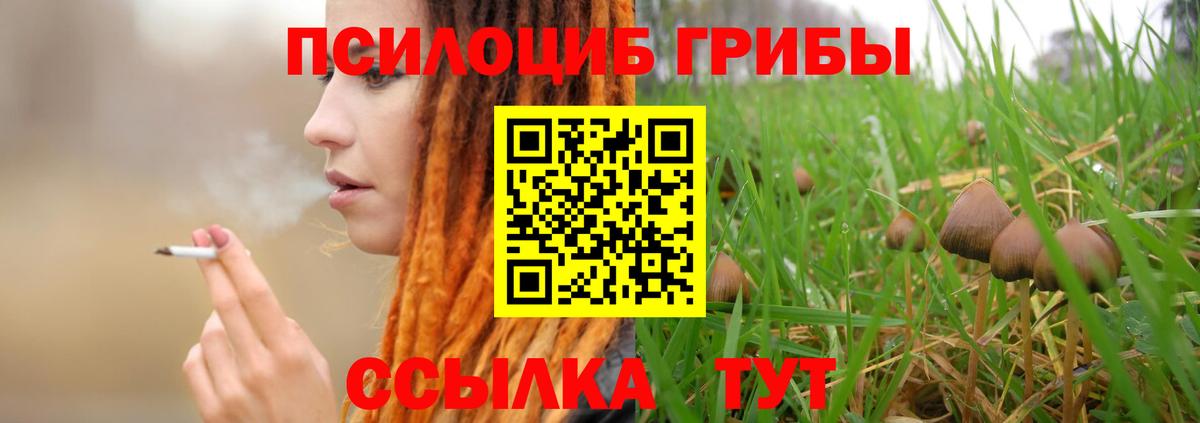 Галлюциногенные грибы мицелий  Вход с VPN  Галлюциногенные грибы ЛСД  Апшеронск 